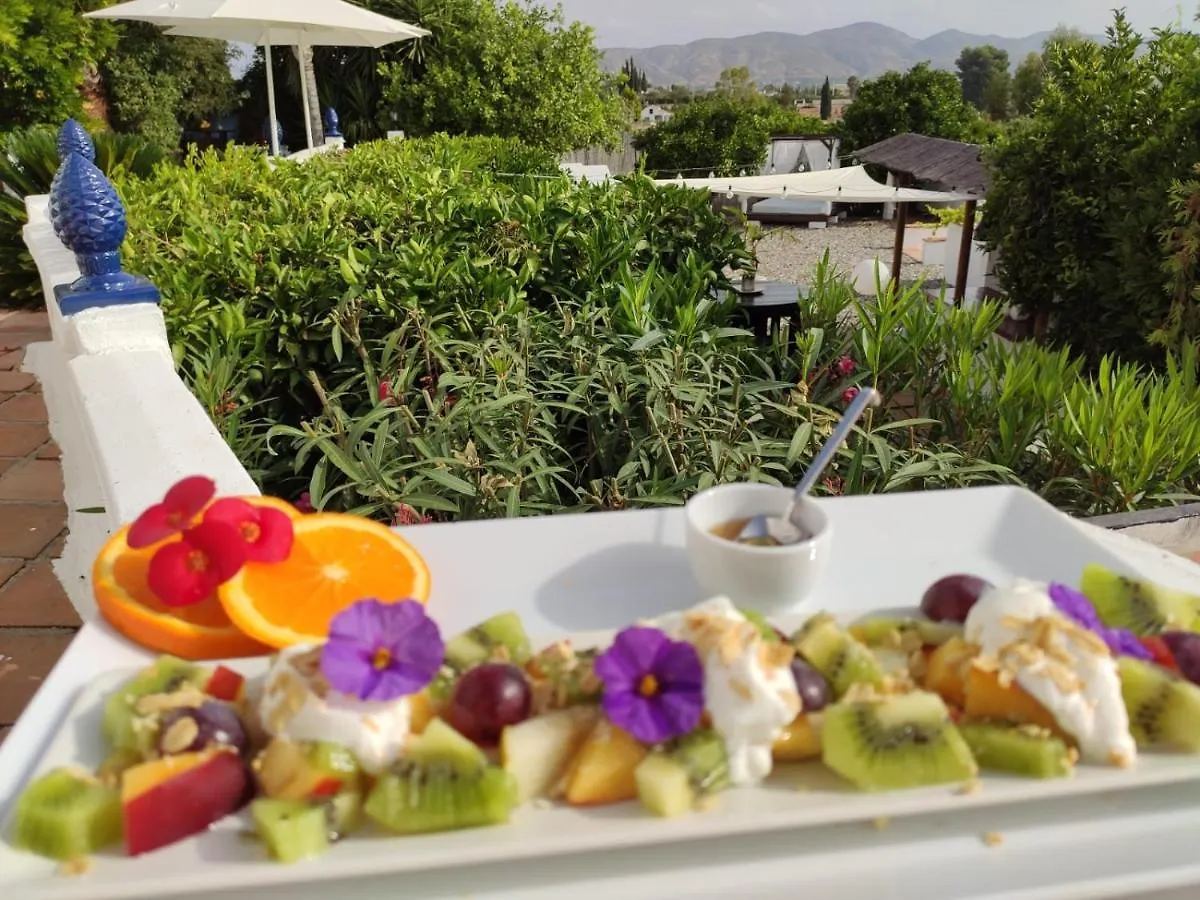 Bed & Breakfast Finca Rayo Del Sol Alhaurin el Grande