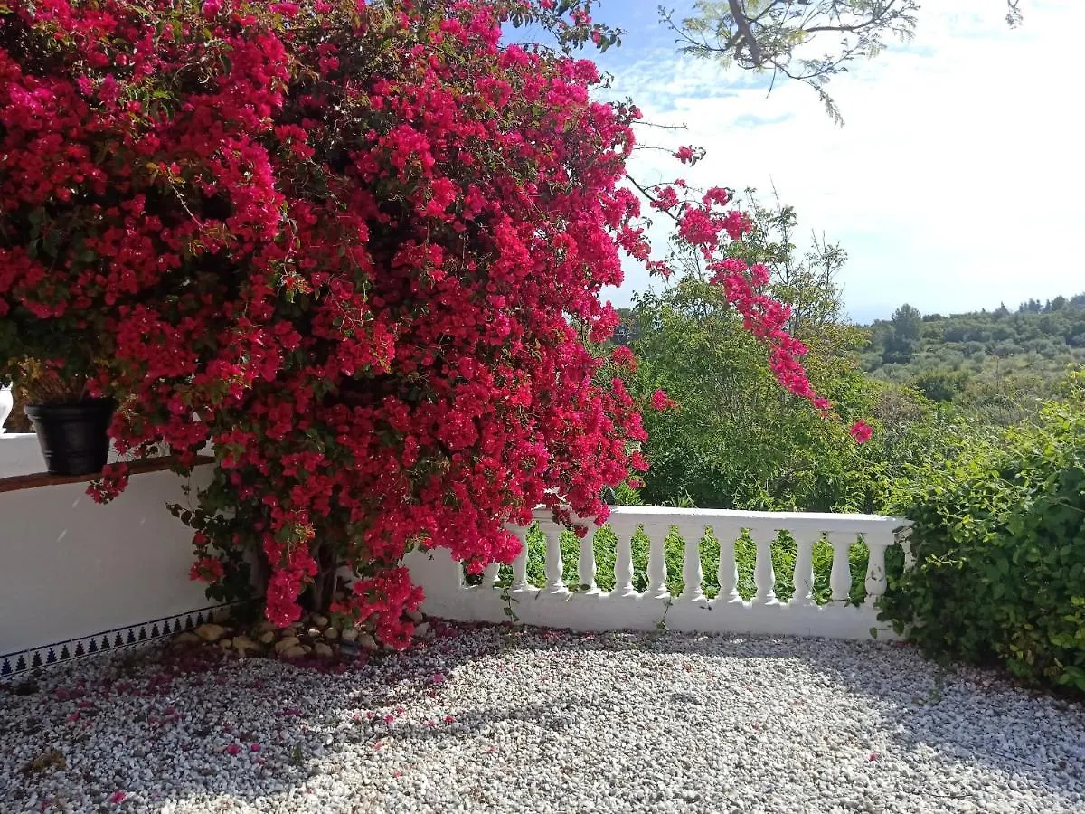 Bed & Breakfast Finca Rayo Del Sol Alhaurin el Grande