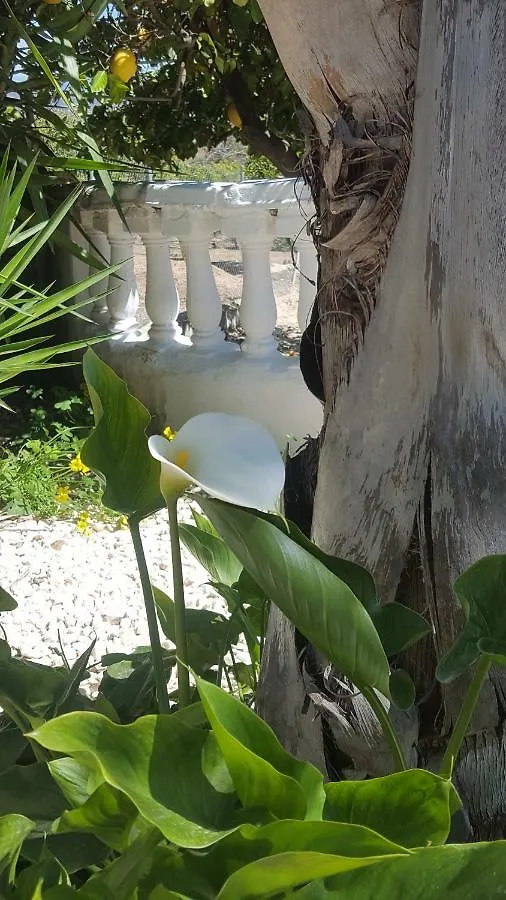 Bed & Breakfast Finca Rayo Del Sol Alhaurin el Grande